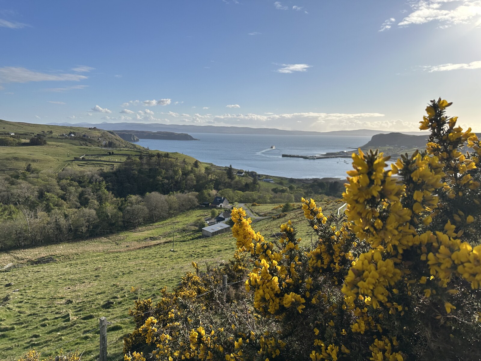 Uig Bay in bloom with gorse in the foreground