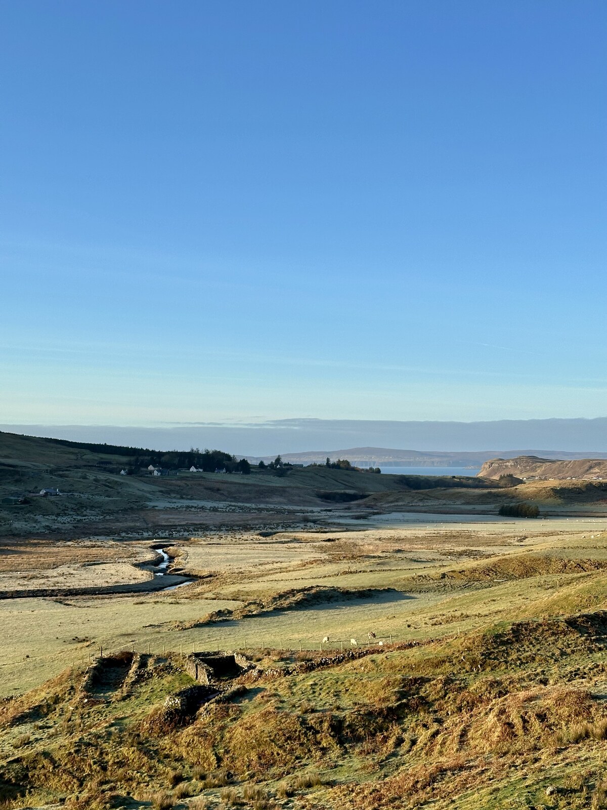 A frosty hillside overlooking the sea, North Skye